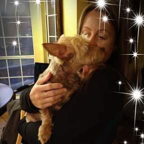 Owner profile picture